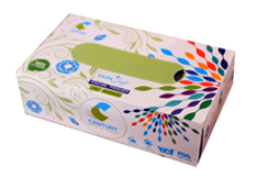 Century Facial Tissue <br /> 20 x 20 cm | 100 Pull